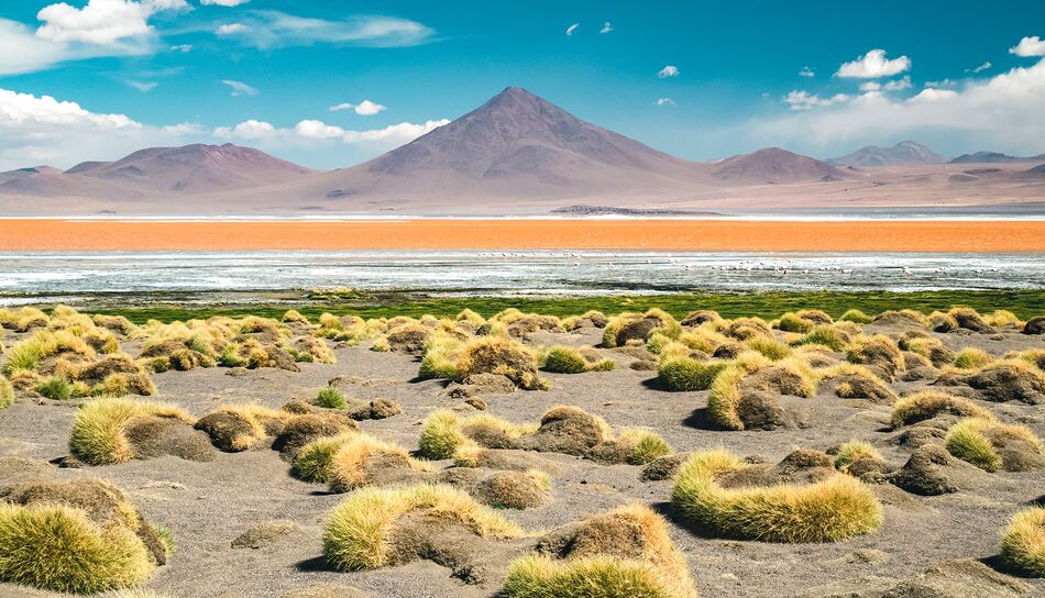 Farbenspiel der Natur in der Atacamawueste