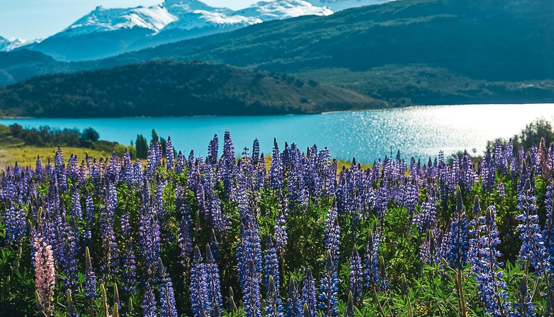 Beste Reisezeit für Patagonien 5 Tipps Infos WeDesignTrips