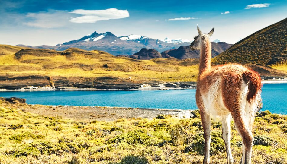 Feuerland, Patagonien