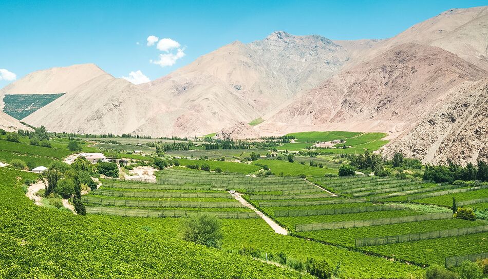 Weinregion Elquital in Chile
