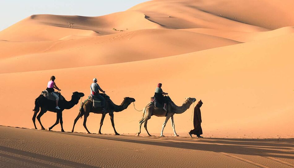 Kamelritt in der Sahara