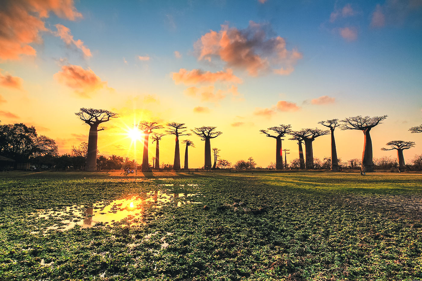 Die Naturhighlights Madagaskars In 9 Tagen WeDesignTrips