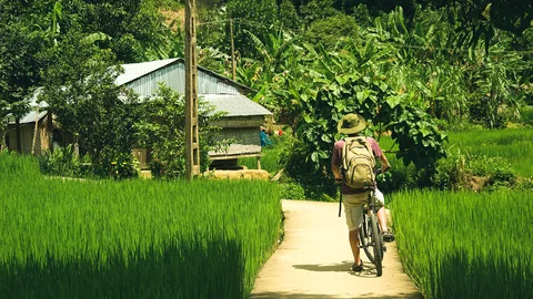 Vietnam Biketour durch Reisfelder