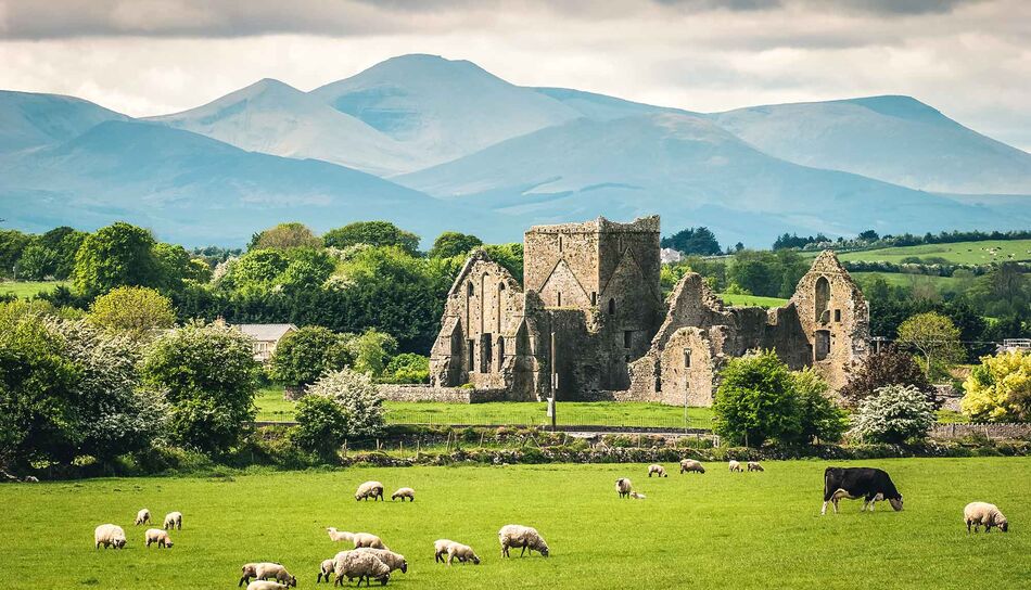 Irische Landschaft mit einer alten Burg