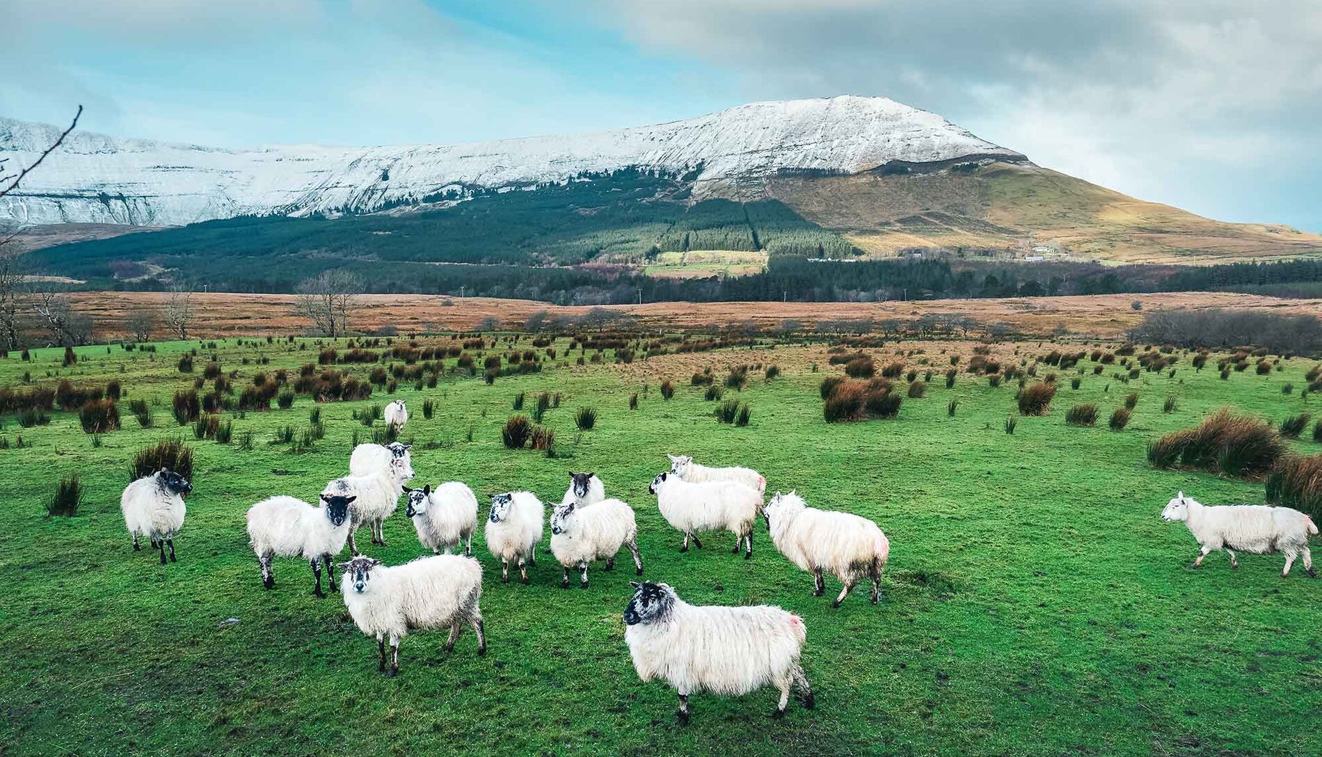 Beste Reisezeit für Irland 5 Tipps & Infos WeDesignTrips