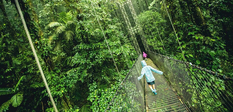 Hängebrücke im Monteverde Nebelwald