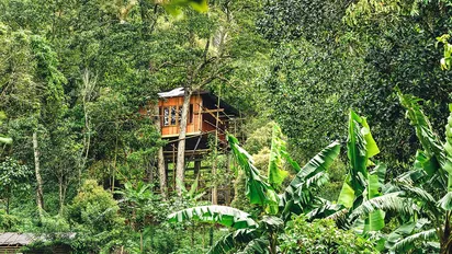 Costa Rica Baumhaus