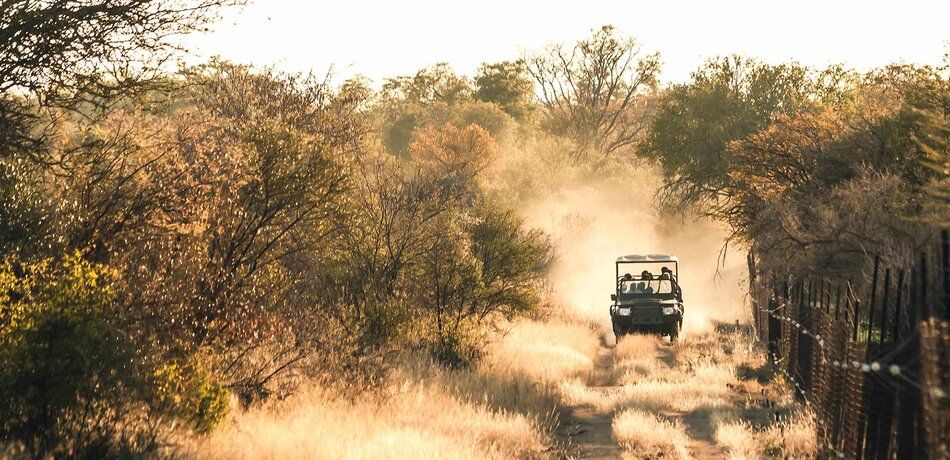 Südafrika Safari Auto Roadtrip