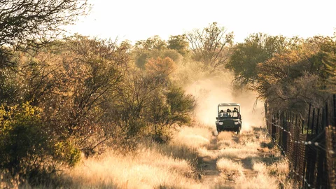Südafrika Safari Auto Roadtrip