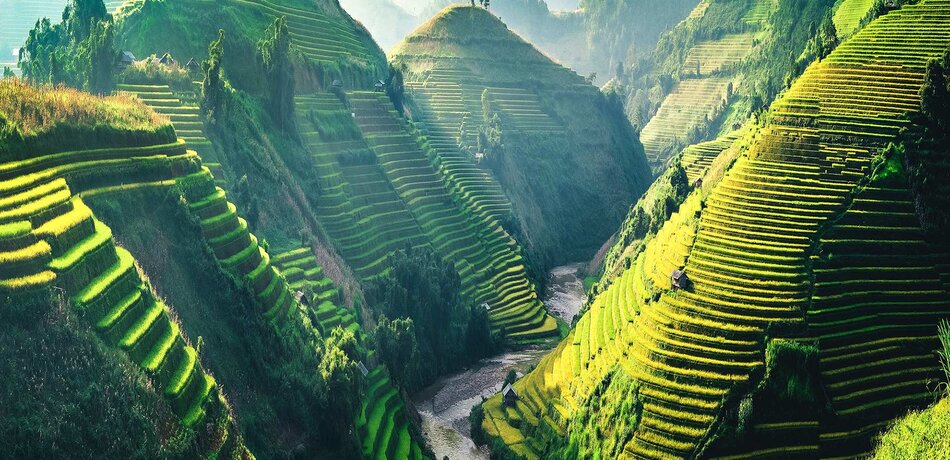 Vietnam Nordwesten Reisterrassen Valley