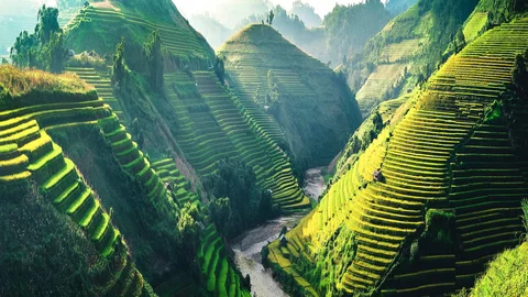 Vietnam Nordwesten Reisterrassen Valley
