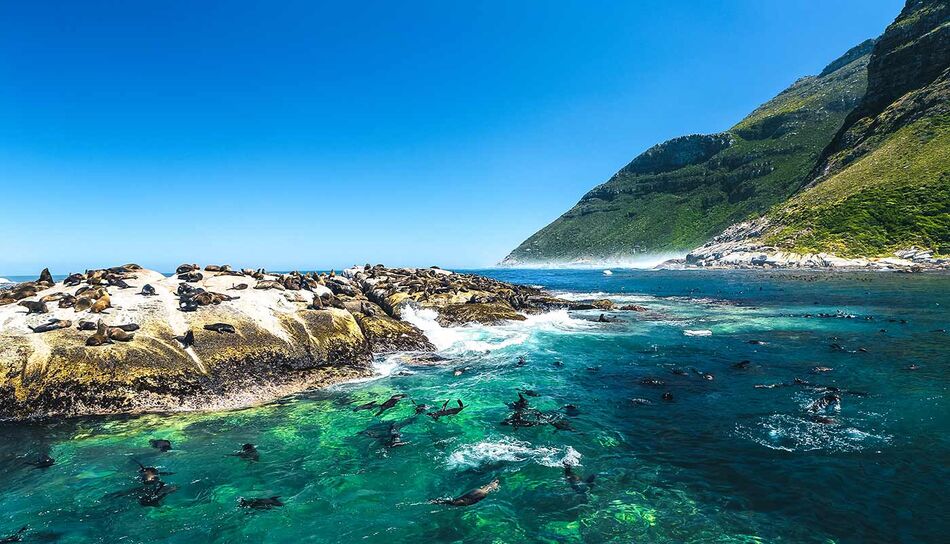 Kapstadt Robben Island