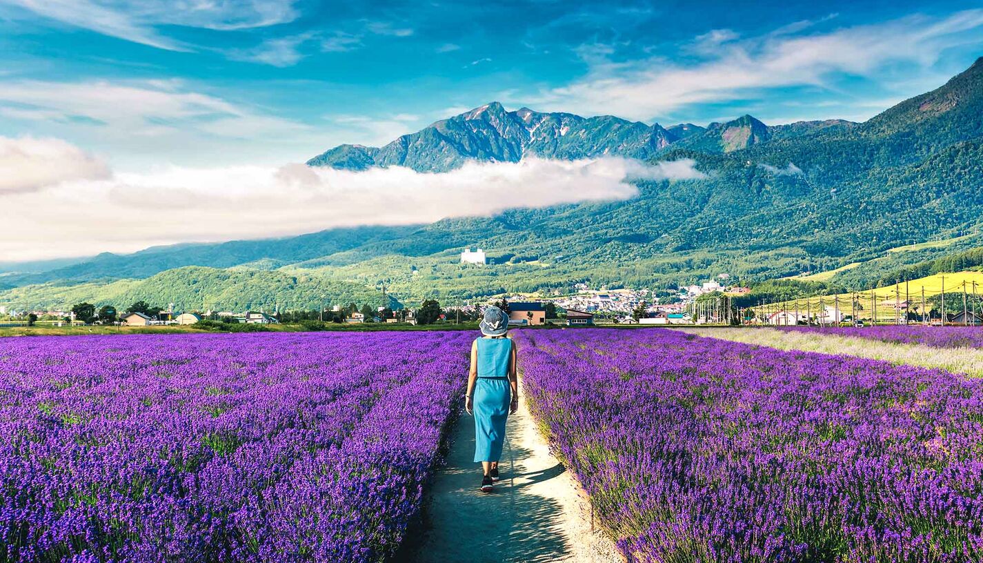 Die Schönheit der Japan Inseln: Ein umfassender Guide - WeDesignTrips