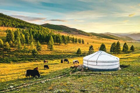 Beste Reisezeit für die Mongolei: Tipps & Infos - WeDesignTrips