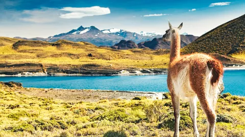 Feuerland, Patagonien