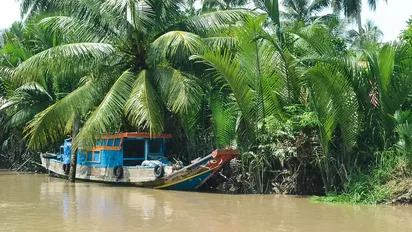 Boot im Mekong Delta von Vietnam