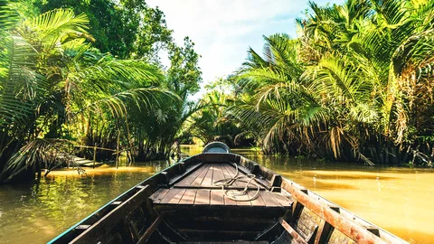 Vietnam Mekong Delta Boot