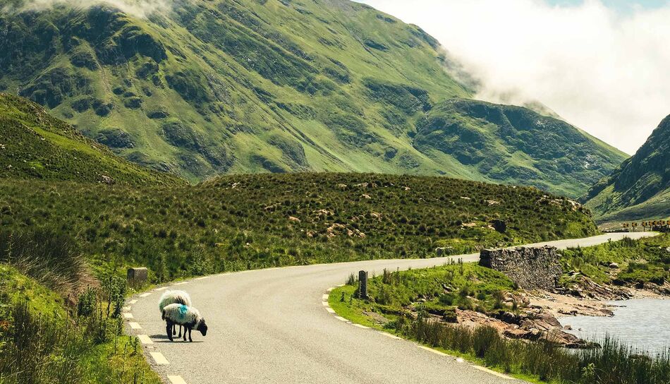 Roadtrip in Irland 5 Routen, Infos & Tipps WeDesignTrips