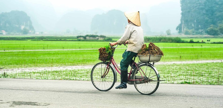 Fahrradfahren durch die Reisfelder Vietnams