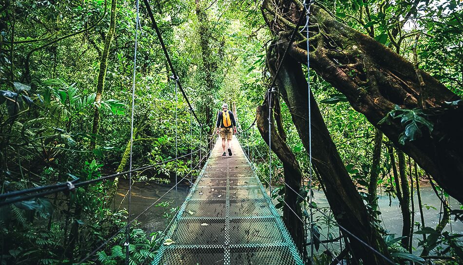 Reisender auf einer Hängebrücke im Monteverde Nebelwald