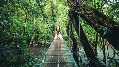 Reisender auf einer Hängebrücke im Monteverde Nebelwald