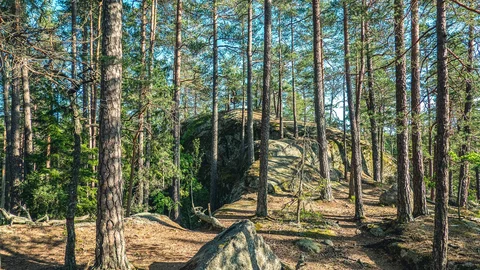 Wanderweg durch den Nationalpark Tiveden in Schweden