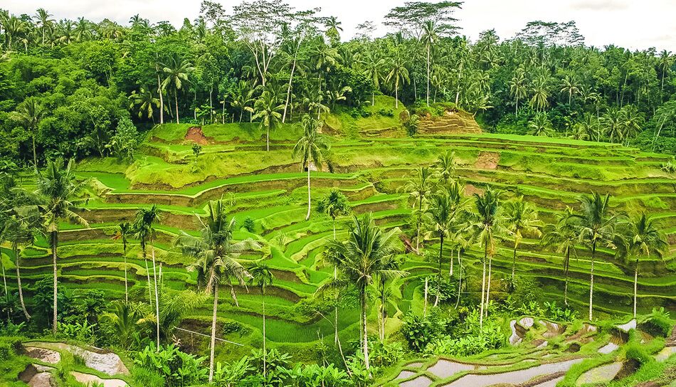Das Subak System auf Bali, Indonesien
