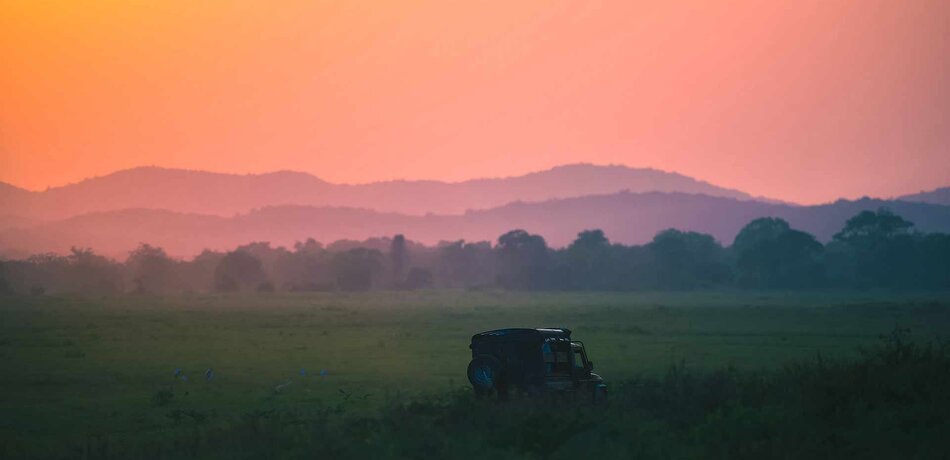 Safari bei Sonnenuntergang in Sri Lanka