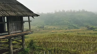 Holzhütte in Sapa mit Blick auf die Reisterrassen