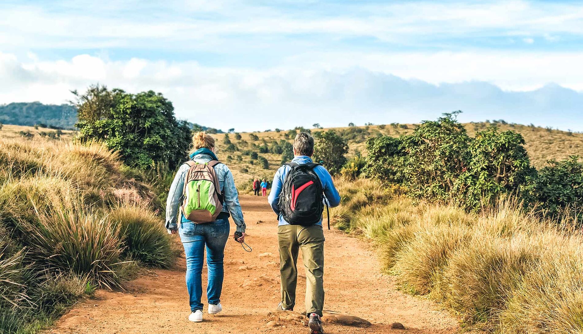 Wandern & Sri Lanka Routen, Tipps & Bilder WeDesignTrips