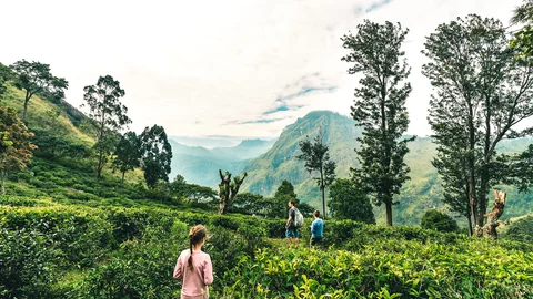 Familie wandert durch Sri Lankas Landschaft