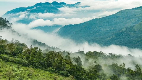 Bellavista Cloud Forest in Ecuador