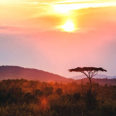 Sonnenuntergang im Nyika Nationalpark in Malawi