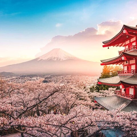 Ein japanischer Tempel auf einem Panoramabild bei Sonnenuntergang vor dem Mount Fuji in Japan