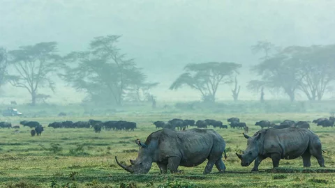 Kruger Park Suedafrika 