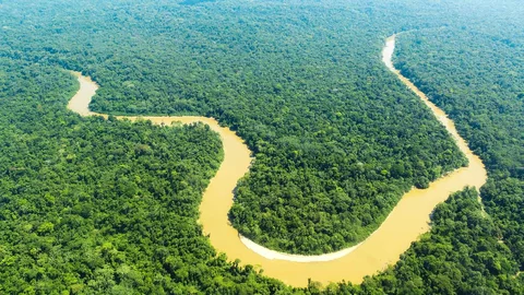 Amazonas aus der Vogelperspektive 