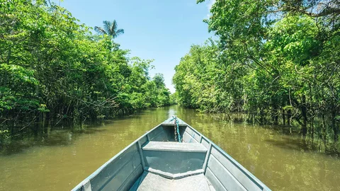 Kanu im Amazonas, Brasilien