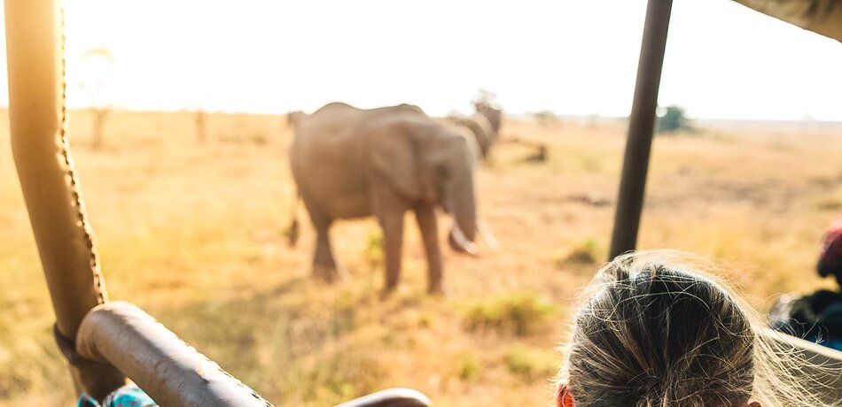 Safari mit der Familie in Namibia