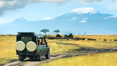Jeepsafari im Masai Mara, Kenia