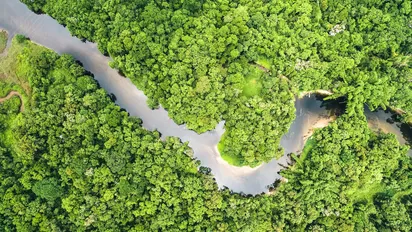 Drohnenaufnahme vom Amazonas, Brasilien