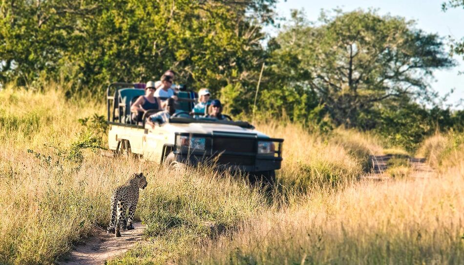 Safari im Jeep im Kruger Nationalpark