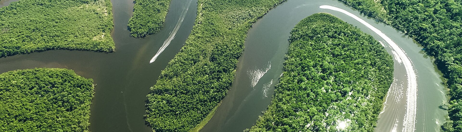 Amazonas Regenwald in Kolumbien