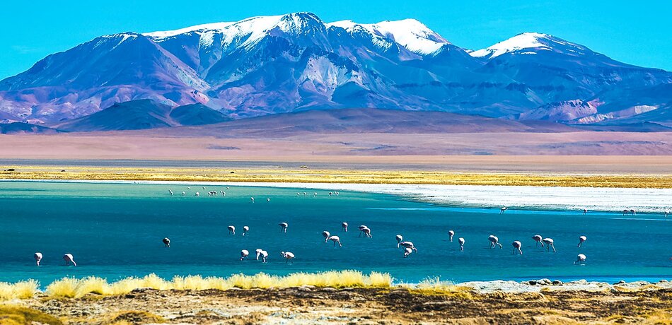 Bunte Landschaft in der Atacama Wüste in Chile