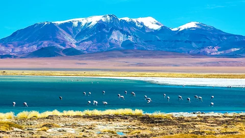 Bunte Landschaft in der Atacama Wüste in Chile