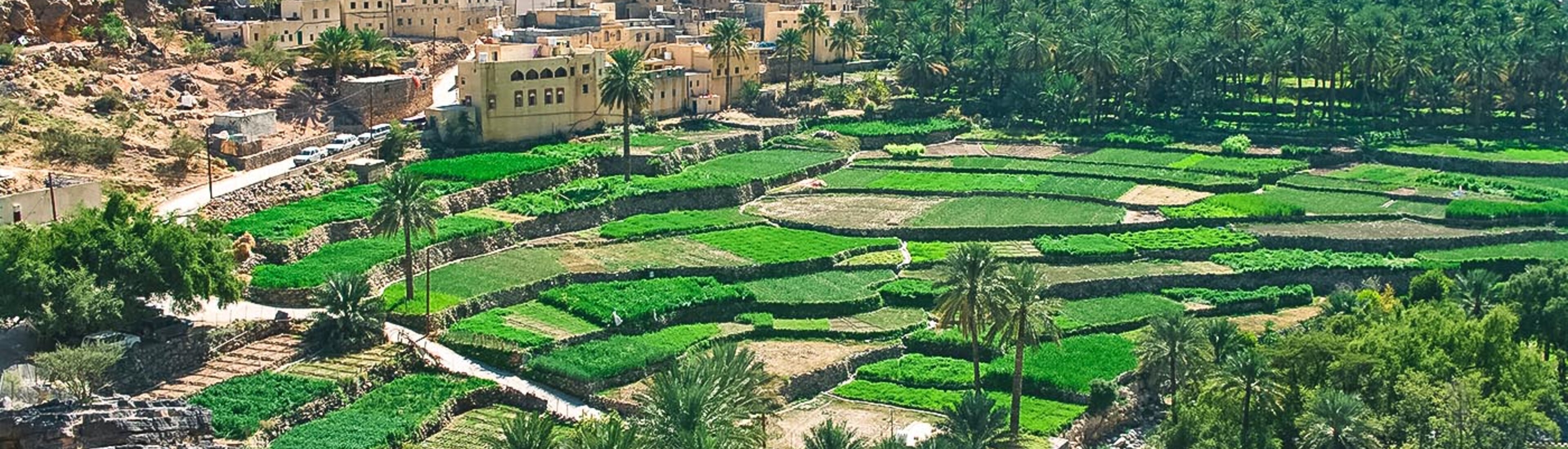 Top 4 Reisen & Routen Balad Sit 2024/2025 WeDesignTrips