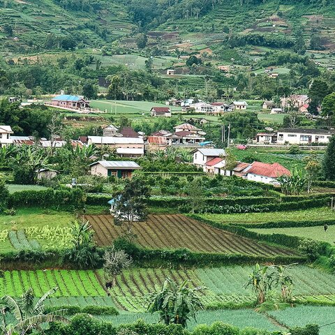 Landwirtschaft in Berastagi, Indonesien
