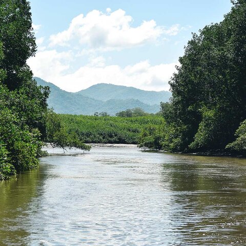 Flusskanal in Boca Tapada