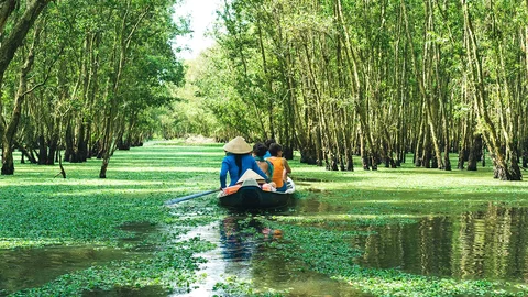 Bootsfahrt durch den Mangrovenwald in Chau Doc