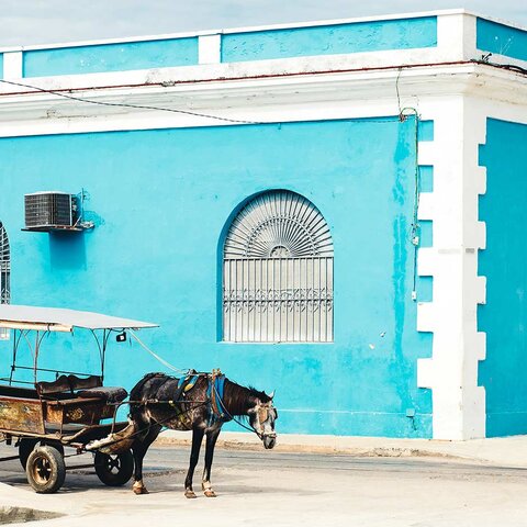 Pferd mit Karren in Cienfuegos