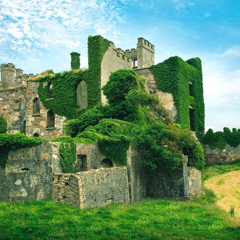Clifden Castle 
